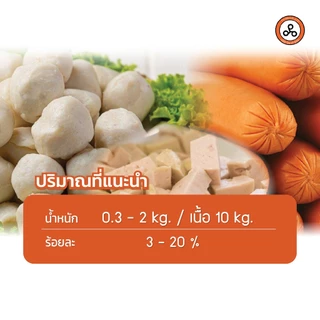 TYPA แป้งโมดิฟายด์ MR-101L แป้งทำลูกชิ้น หมูยอ ไส้กรอก หมูเด้ง 1 กิโลกรัม