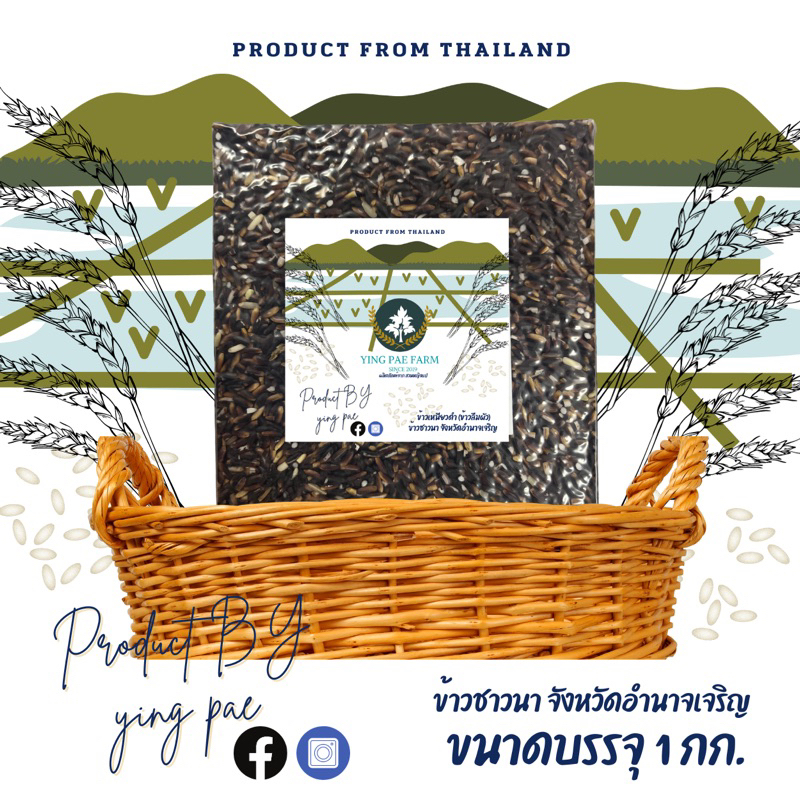 YING PAE FARM ข้าวเหนียวดำ(ลืมผัว) ข้าวใหม่ปี 68 ข้าวเพื่อสุขภาพ ชาวนาไทย จังหวัดอำนาจเจริญ ขนาดบรรจุ 1 กก.