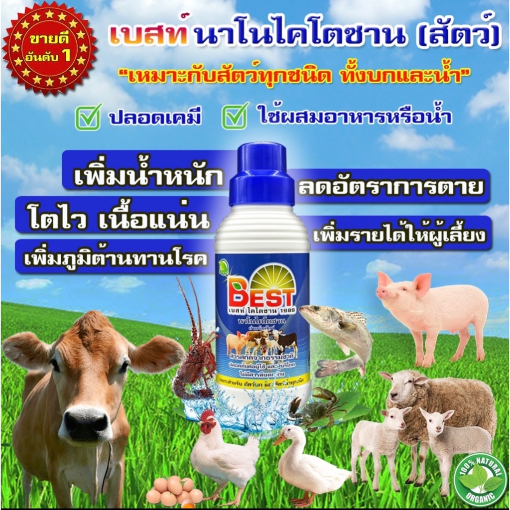 Best เบสท์ นาโนไคโตซาน *เร่งการเจริญเติบโตโดยธรรมชาติ* เกรดพรีเมี่ยม (สำหรับสัตว์บกและสัตว์น้ำทุกชนิด) 1ขวด(1ลิตร)