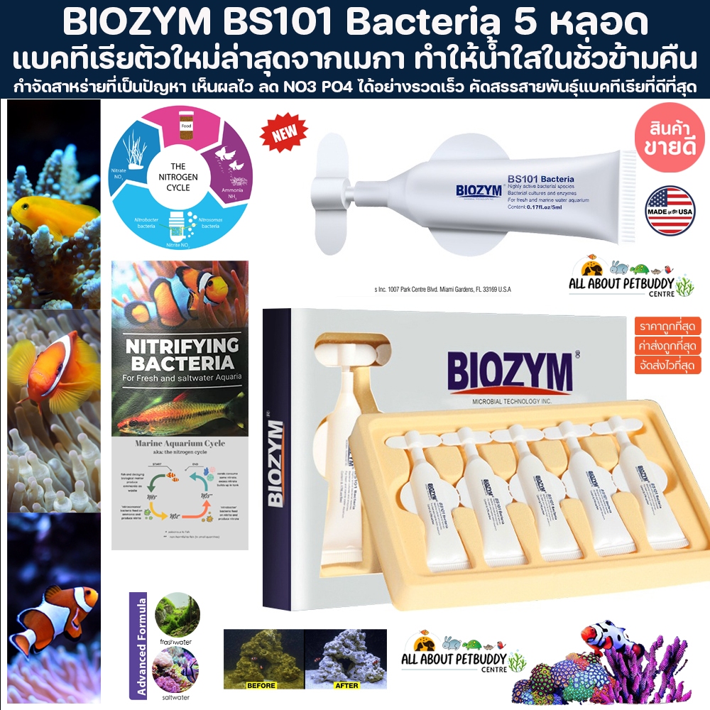BIOZYM BS101 Bacteria 5ml X 5 หลอด แบคทีเรีย Bac ตัวใหม่ล่าสุดจากเมกา ทำให้น้ำใสในชั่วข้ามคืน bio digest ใบโอไดเจท ปลา