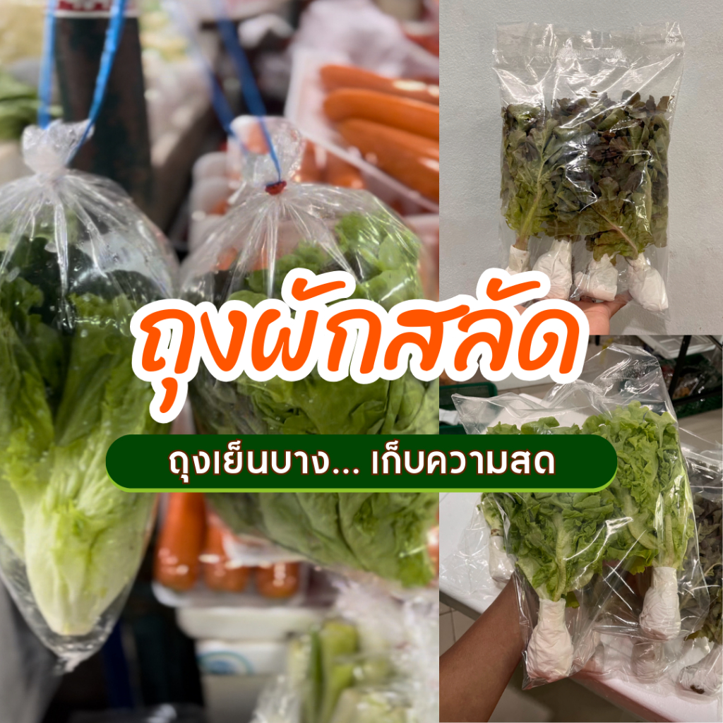 ถุงผักสลัด ผักไฮโดรโปนิกส์ (แพ็ก 1kg.)  เจาะรู/ไม่เจาะรู