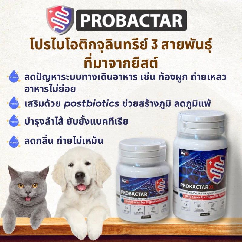 Probactar โปรไบโอติกจากยีสต์สำหรับสุนัขและแมว ปรับสมดุลทางเดินอาหาร ลดปัญหาท้องผูก ท้องเสีย อาหารไม่ย่อย
