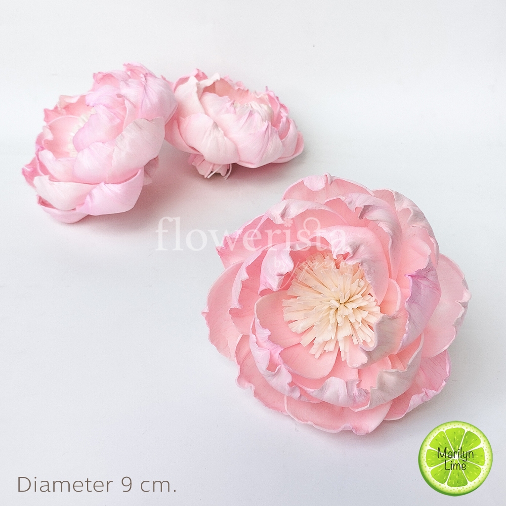 ดอกไม้แห้งย้อมสี [size 9cm] ดอกไม้ดูดน้ำหอม ดอกไม้แห้ง ดอกไม้จากต้นโสนย้อมสี มีหลายแบบ หลายสี + ร้อย