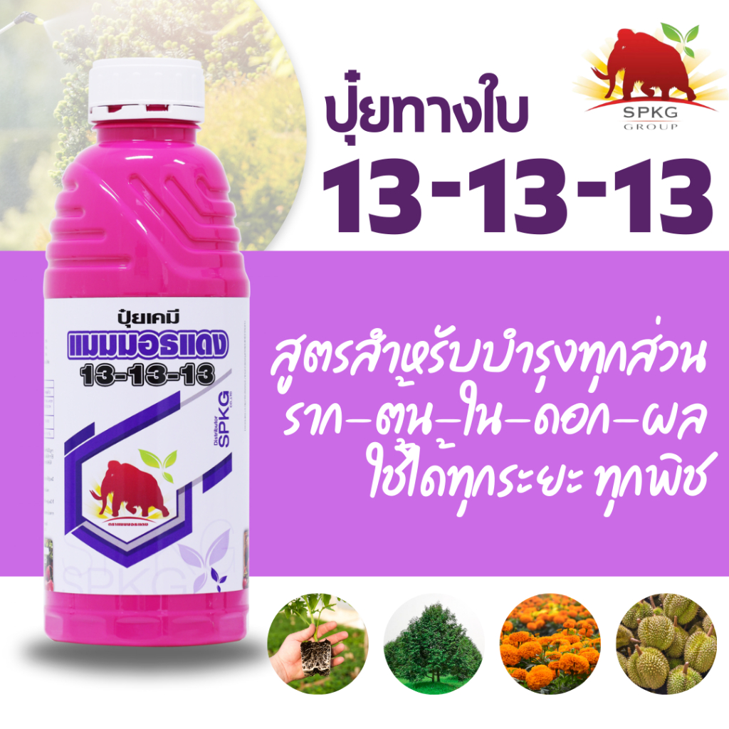 [1ลิตร] ปุ๋ยทางใบ ปุ๋ยน้ำ สูตร 13-13-13 ใบเขียวเข้มสมบูรณ์ ขยายใบ บำรุงต้น ขยายผลบำรุงผล ราคา ถูกที่สุด ดีลบีเคเค