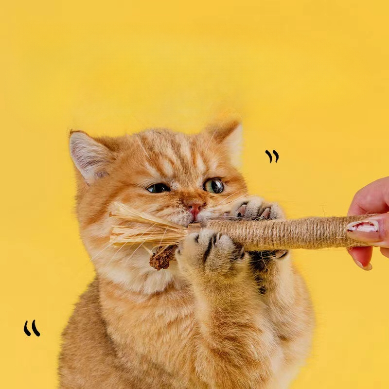 ของเล่นแมว ไม้แมวเมา ของเล่นทำความสะอาดฟันแมว หวายทำความสะอาดฟัน ลดคราบหินปูน กัญชาแมว ขนาดเหมาะกับแมวมากที่สุด