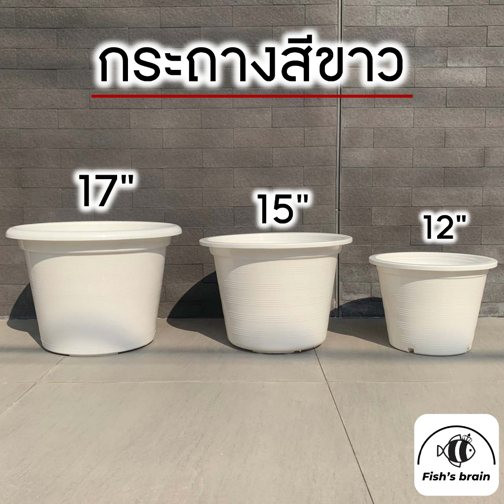กระถางต้นไม้พลาสติกสีขาว ขนาด 12" 15" 17"