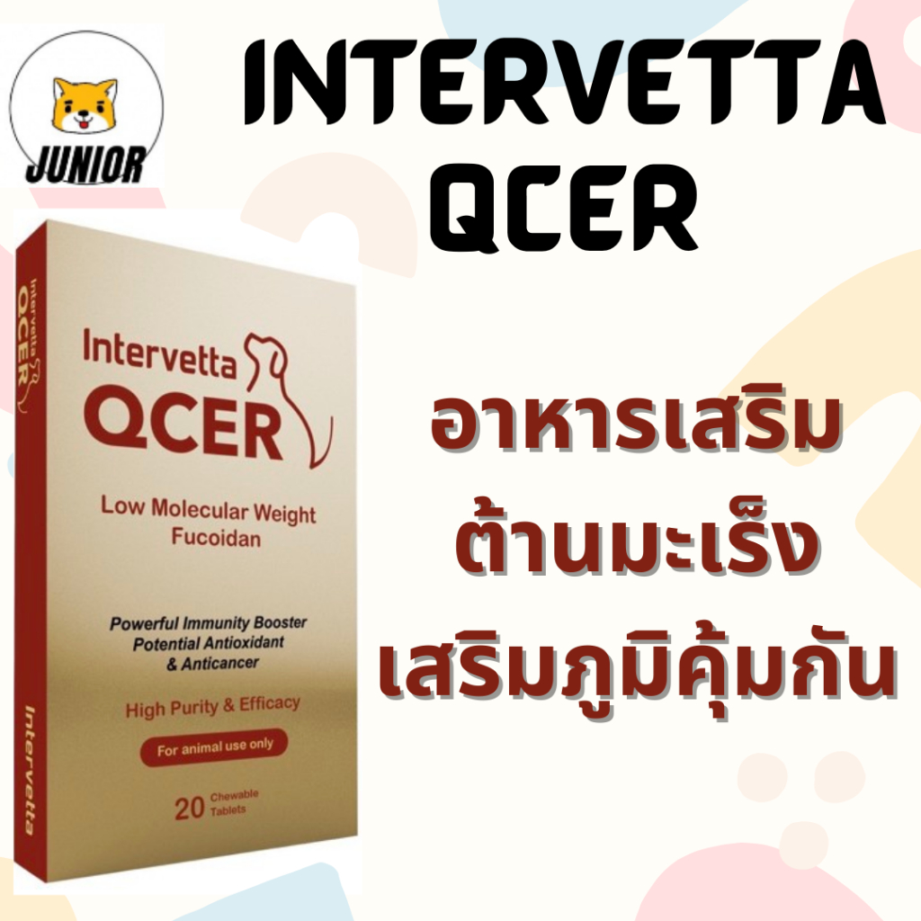 QCER อาหารเสริมต้านมะเร็ง เสริมภูมิคุ้มกัน แบ่งขายยกแผง10เม็ด/ยกกล่อง20เม็ด