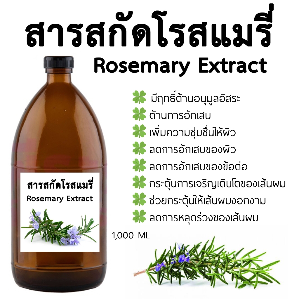 สารสกัดโรสแมรี่ Rosemary Extract 1000 ML. สารสกัดสมุนไพรสำหรับใช้ในเครื่องสำอาง