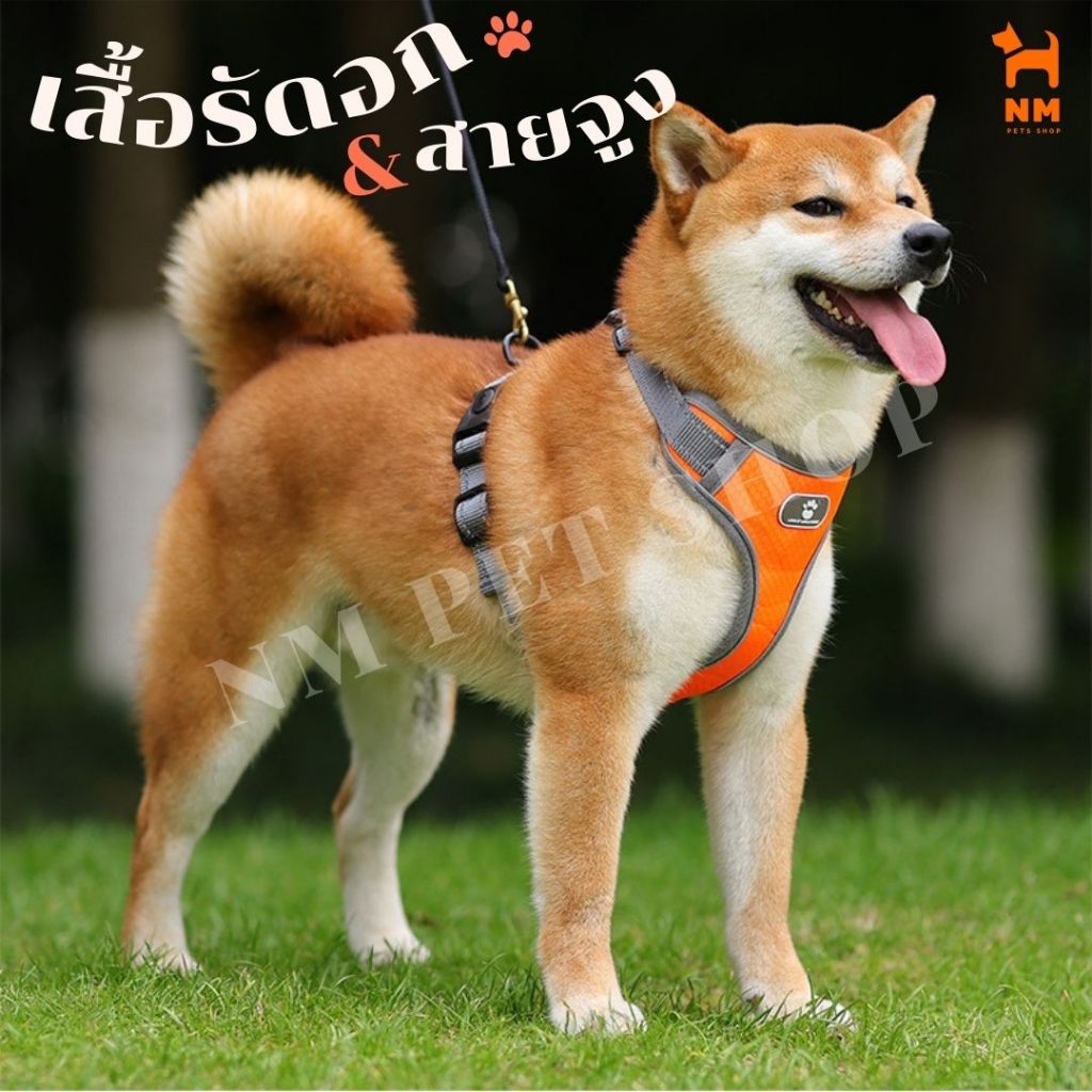 เสื้อรัดอก & สายจูงหนังพรีเมี่ยม เสื้อกั๊ก สำหรับสัตว์เลี้ยงสุนัขขนาดกลางขนาดใหญ่ ล็อกเข็มขัดนิรภัย