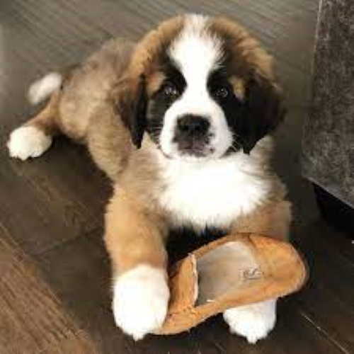 Test UI revamp item1