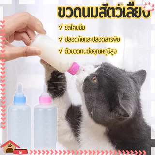 ขวดนมแมว 60ml สำหรับลูกแมวแรกเกิด ขวดนมสัตว์เลี้ยง พร้อมหัวนมซิลิโคนนุ่ม มีขีดวัดปริมาณนม ทำความสะอาดง่าย