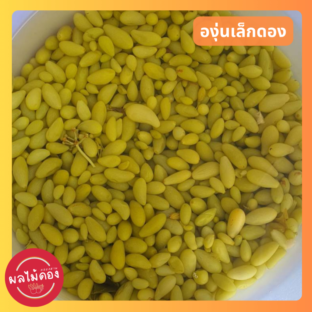 องุ่นดอง (ดองเกลือ-ดองสามรส) ดองธรรมชาติ ไม่มีขันฑสกร ไม่มีสารฟอก แถมฟรีพริกเกลือแซ่บๆ
