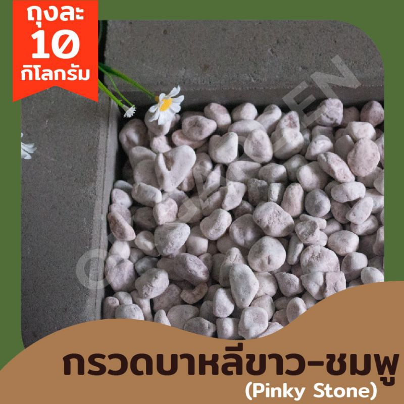 Ok Garden House พิ้งค์กี้ สโตน