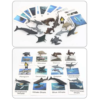 โมเดลไดโนเสาร์ โมเดลสัตว์ โมเดลสัตว์ทะเล 12 ตัว พร้อม Flash Card การ์ดจับคู่โมเดลสัตว์ Montessori Lookmaebaby