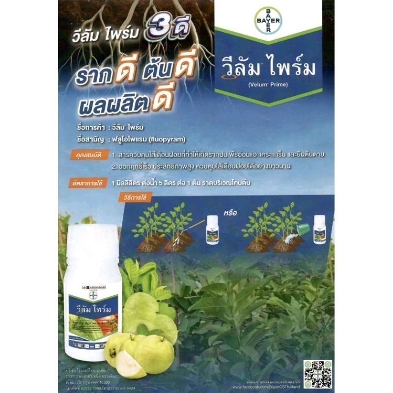 วีลัมไพร์ม​  แก้โรคราคปม​  ฝรั่งตายต้น​ แก้ไส้เดือนฝอย ขาด100cc