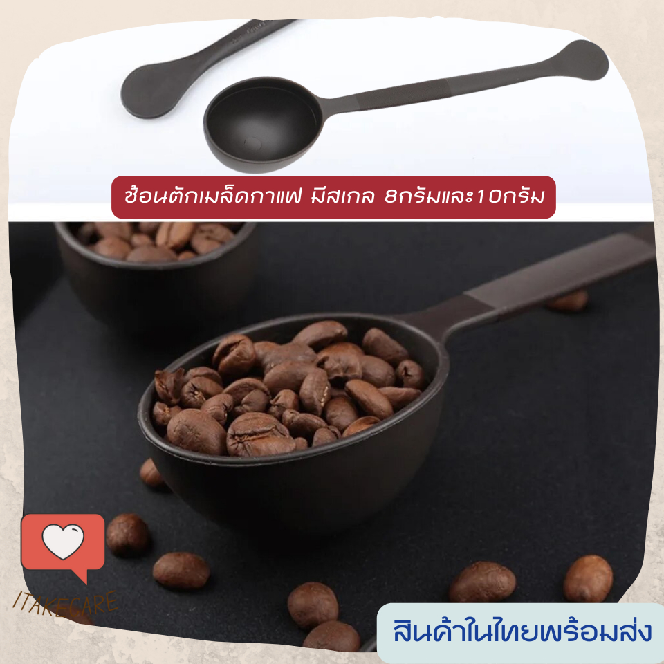 ช้อนตักเมล็ดกาแฟ มีสเกลบอก8กรัมและ10 อุปกรณ์สำหรับทำกาแฟ เพื่อให้ได้รสชาติที่ดี