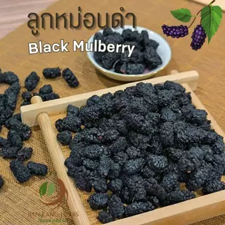ลูกหม่อนดำ 250 500 กรัม มัลเบอร์รี่อบแห้ง ลูกหม่อนอบแห้ง Dried Black Mulberry Hei Sang Shen Gan 黑桑葚干 ชาลูกหม่อนดำ