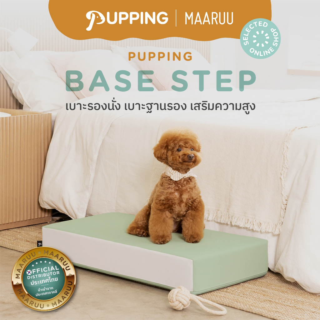 Pupping Base Step เบาะรองนั่ง ฐานรอง ป้องกันข้อสะโพกเสื่อม ลดแรงกระแทก ฐานเสริมความสูง Pet slide / step นำเข่าจากเกาหลี
