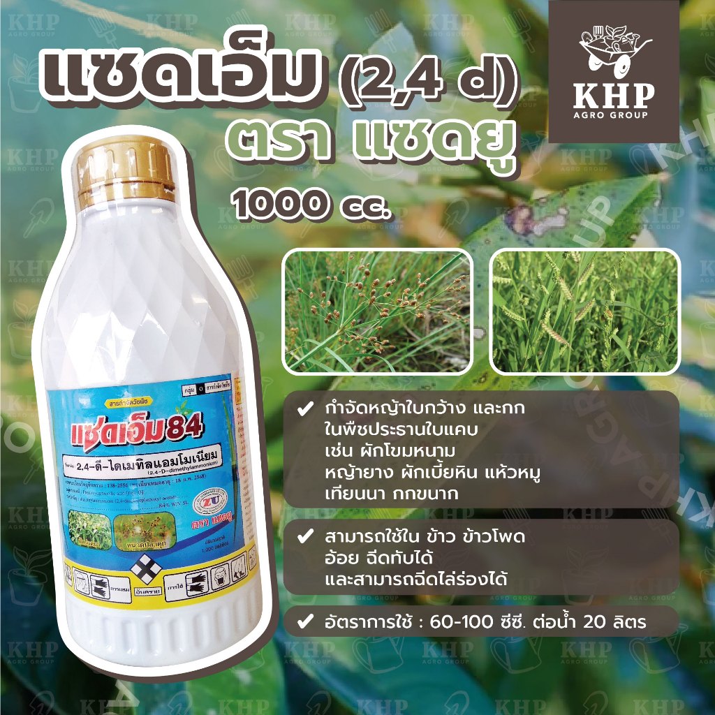 แซดเอ็ม (สาร 2,4 d) กำจัดหญ้าใบกว้างและกก ผือ แห้วหมู ในนาข้าว ข้าวโพด อ้อย ฉีดทับได้ ไล่ร่องได้ ตรา