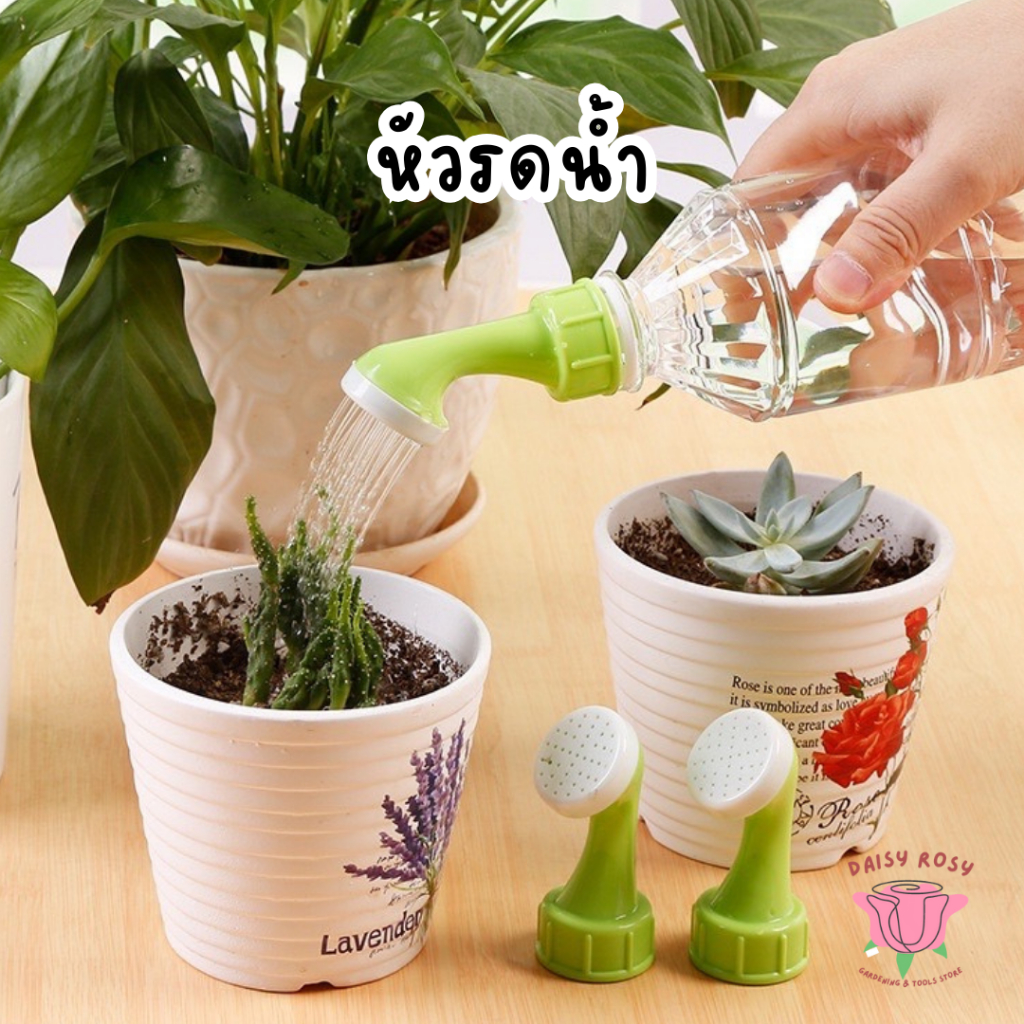 ที่รดน้ำจิ๋ว บัวรดน้ำขนาดเล็ก ใช้กับขวดน้ำอัดลม บัวรดน้ำแคคตัส หัวบัวรดน้ำ หัวรดน้ำ ที่รดน้ำจิ๋ว