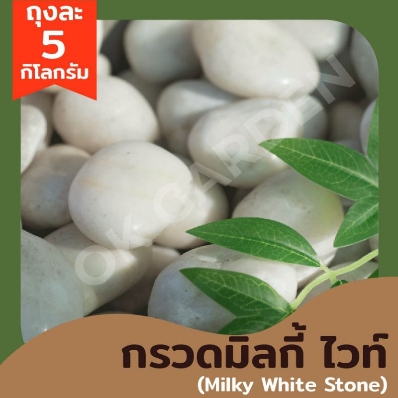 Ok Garden House กรวดมิลกี้ไวท์