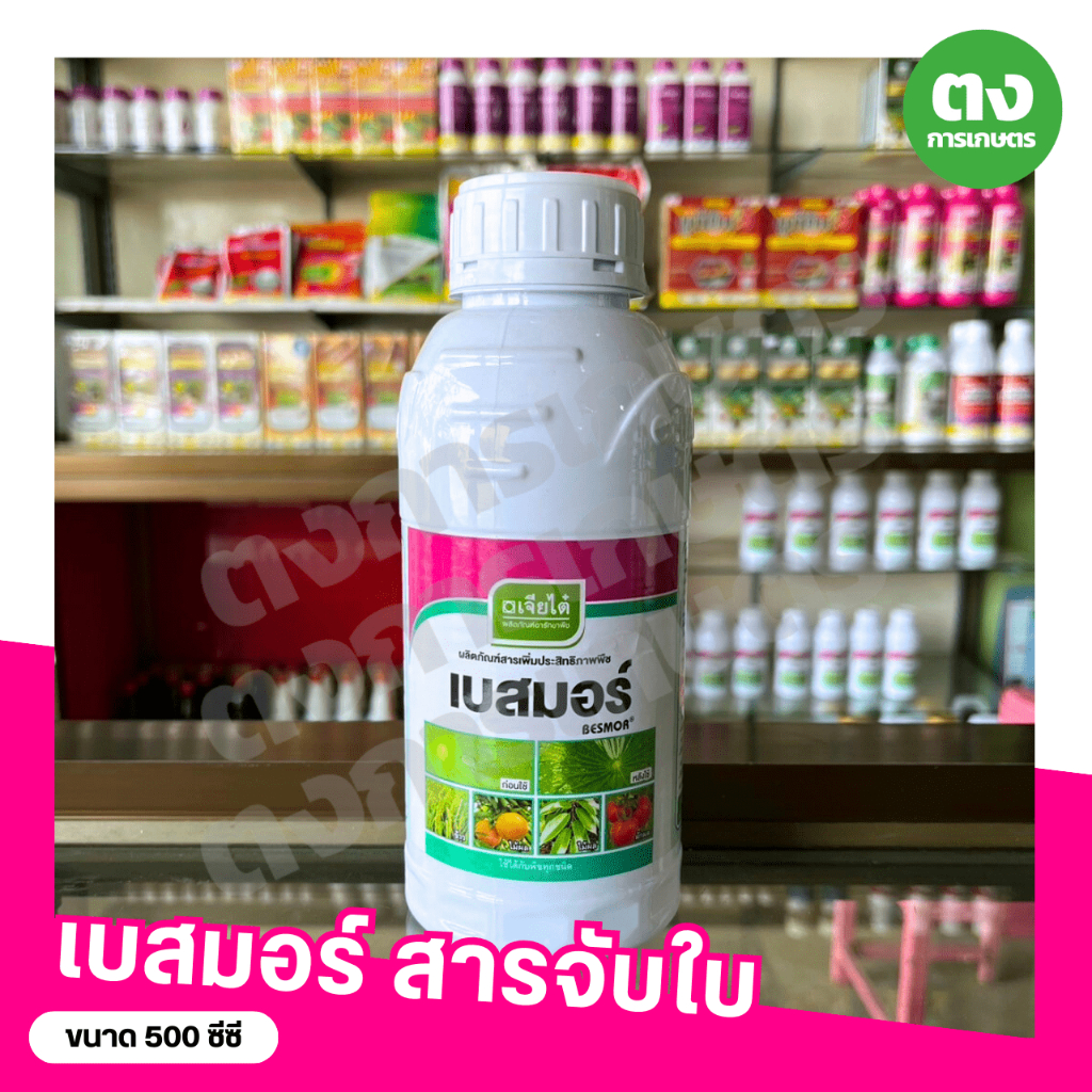 เบสมอร์ เจียไต๋ สารจับใบ ขนาด 500 ซีซี สารเพิ่มประสิทธิภาพพืช ใช้ได้กับพืชทุกชนิด