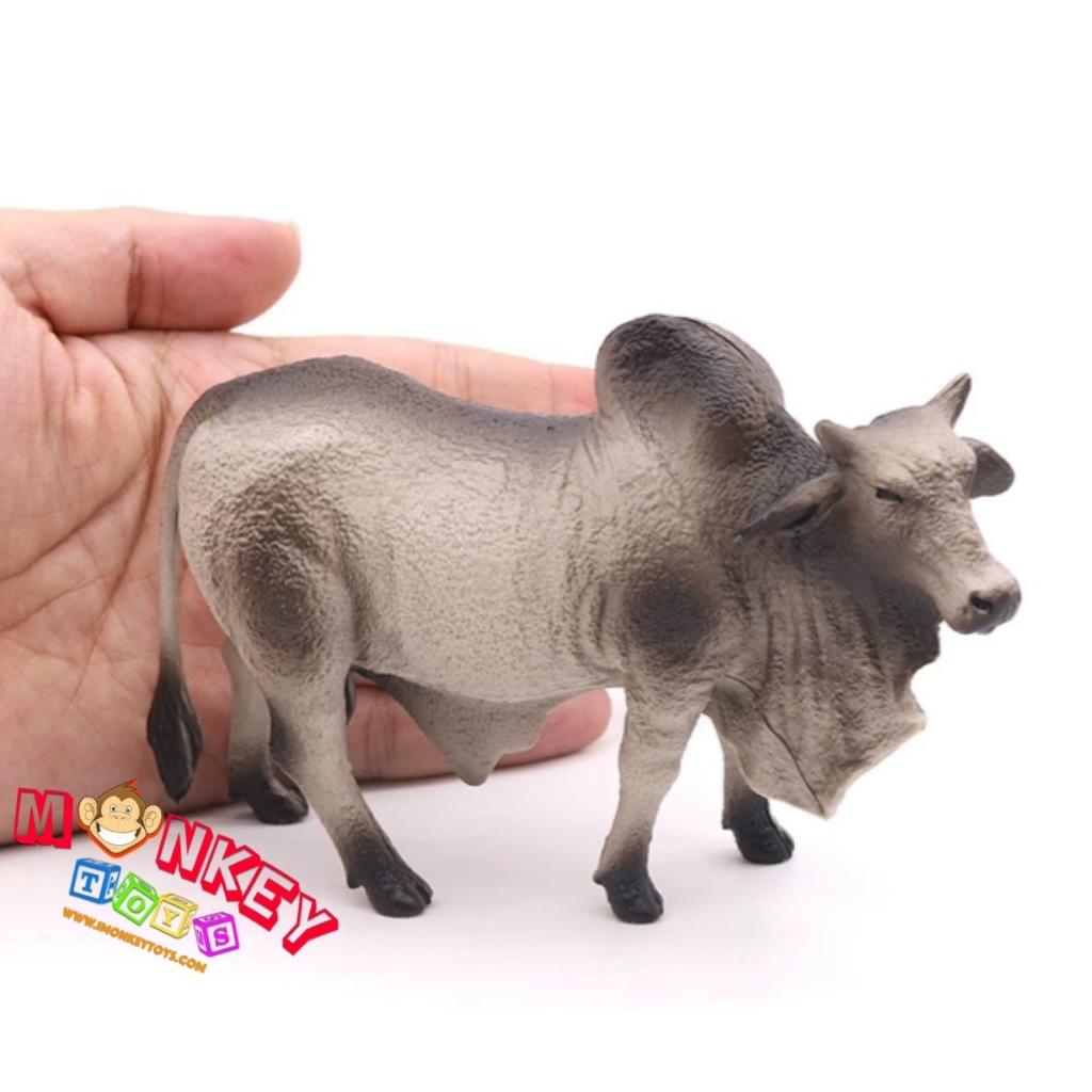 Monkey Toys - โมเดลสัตว์ วัว บราห์มัน เทา ขนาด 13.00 CM (จากหาดใหญ่)