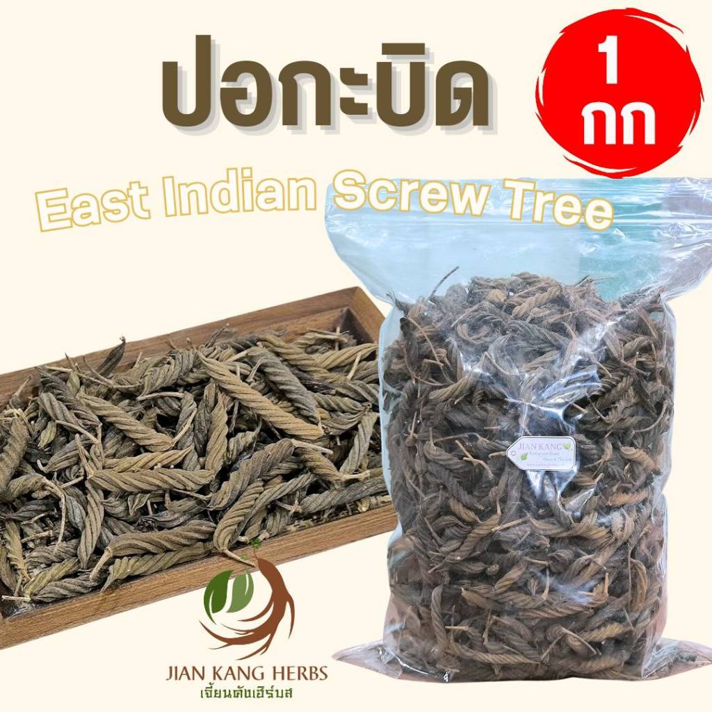 ปอกะบิด 1 กก. ปอบิด ลูกบิด East Indian Screw Tree สมุนไพร