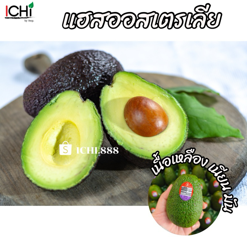 อาโวคาโดพันธุ์แฮส ออสเตรเลีย เซ็ต3ลูก