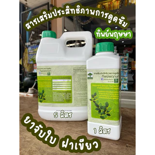 สารจับใบ ทิพย์พฤกษา สารเพิ่มประสิทธิภาพการดูดซึม ยาจับใบฝาเขียว 1 ลิตร ช่วยในการนำพาสารอาหารต่าง ๆ เข้าสู่พืชได้ดีขึ้น