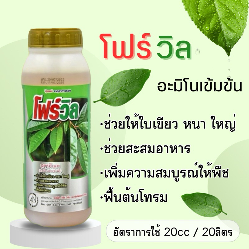 โฟร์วิล อะมิโนเข้มข้น ทำใบ ใบเขียว ฟื้นต้น