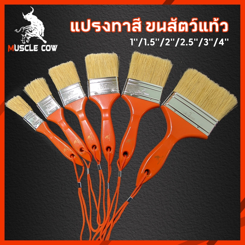 Muscle Cow แปรงทาสี แปรง แปรงทาสีบ้าน แปรงทาสีเกรดพรีเมี่ยม ขนนุ่มปานกลาง มีเชือกในแปรง มีขนาด1นิ้ว-4นิ้ว แปรงทาซอสบาร์บ