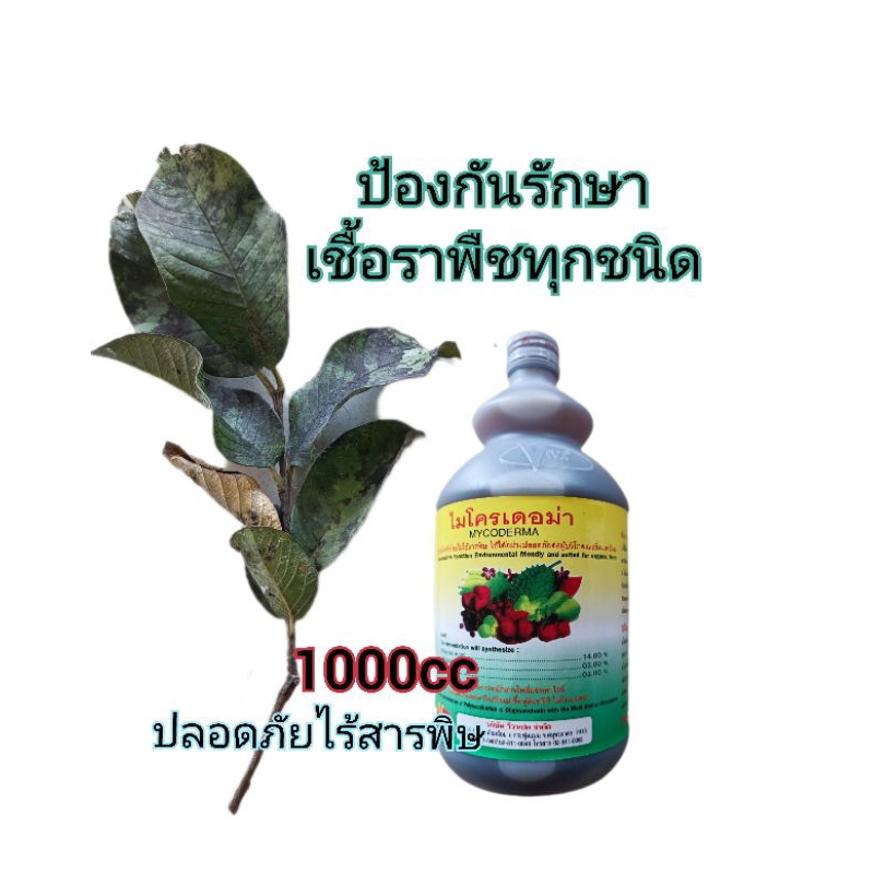 ไมโครเดอม่าสำหรับ โรคเน่า โคนเน่า ราค้าง ราสนิม เเอนเทรคโนส ขวดบรรจุขนาด1ลิตร