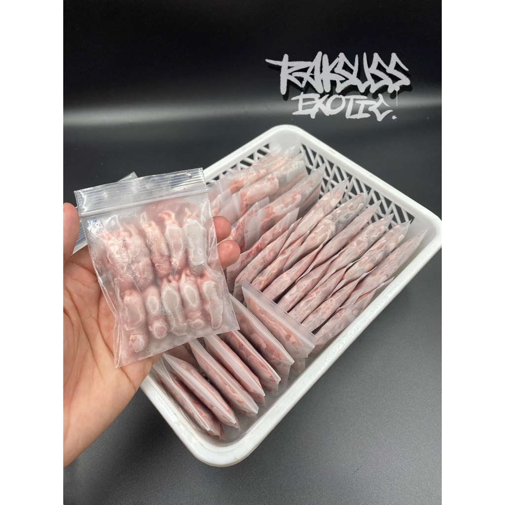 หนูไมค์แช่แข็ง/Frozen Mice แพ็คละ10ตัว มีหลากหลายขนาด
