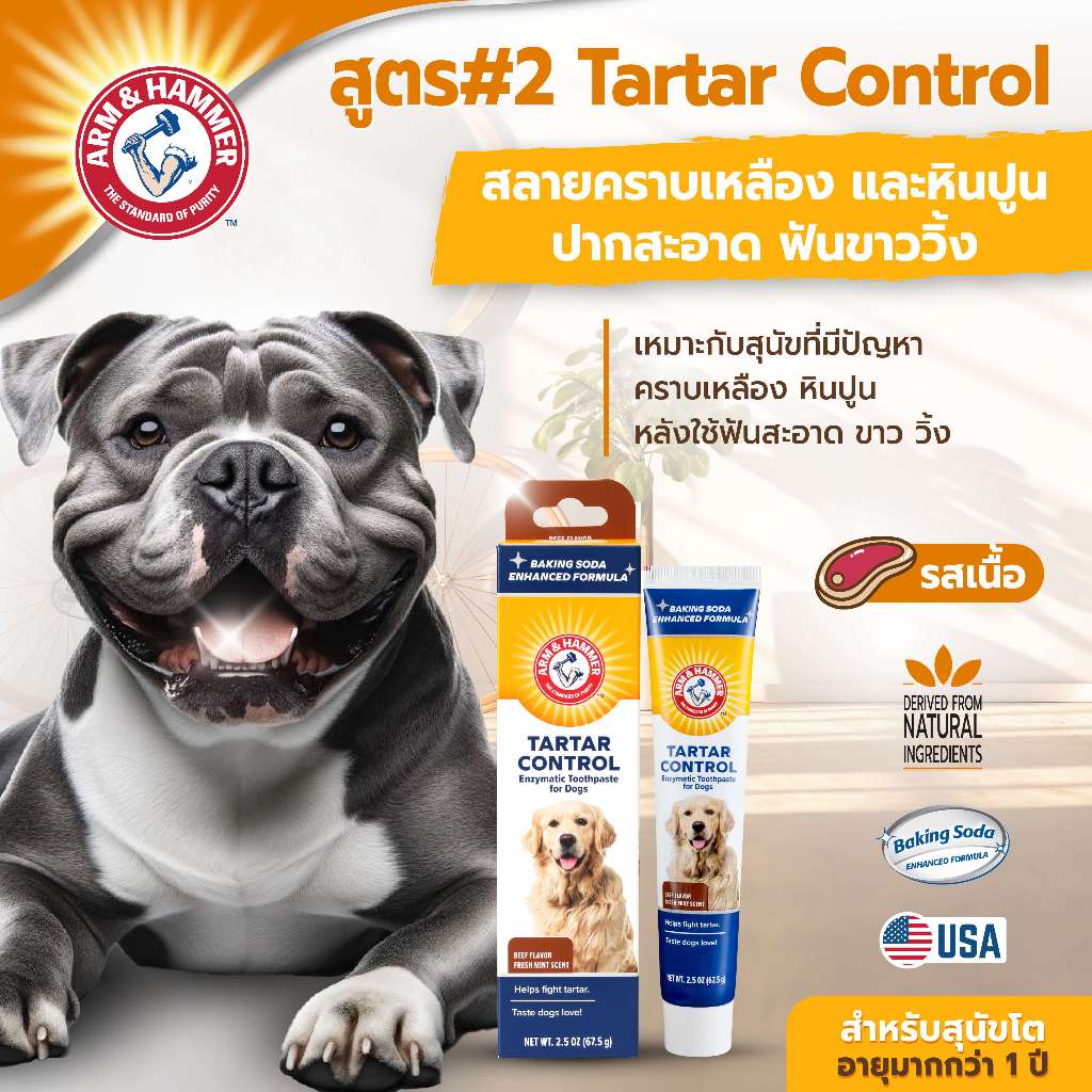 [แบรนด์แท้ USA🇺🇸] Arm and Hammer สูตร2 ยาสีฟันสุนัข ลดกลิ่นปาก คราบเหลือง เนื้อ 67.5ก ไม่มีแปรง