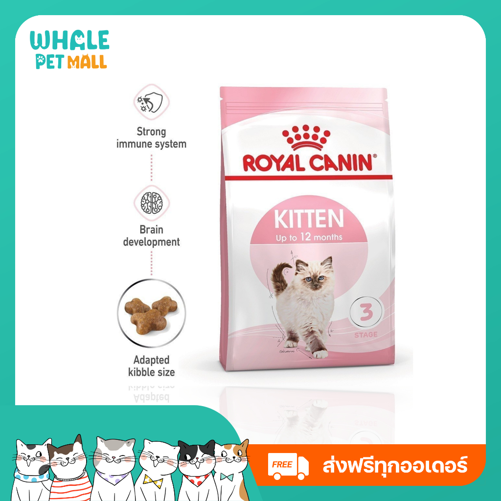 [ส่งฟรี] อาหารเม็ดลูกแมว อายุ 4-12 เดือน Royal Canin Kitten #แมว #อาหารแมว #RoyalCanin #อาหารลูกแมว #Drycatfood #แมวเด็ก