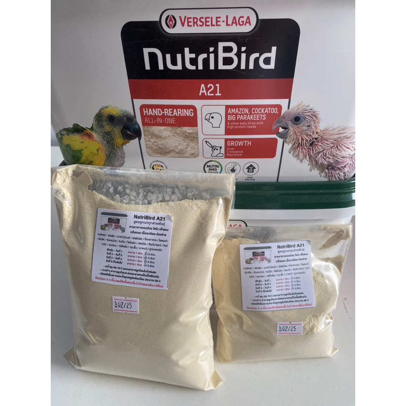 Nutribird A21 สำหรับลูกนกทุกสายพันธุ์ (200-500g) ฝาเขียว ❗️สินค้ารอบนี้หมด 07/2024