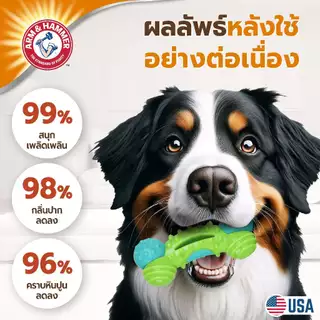 [แบรนด์แท้ USA🇺🇸] Arm and Hammer Nubbies ของเล่นสุนัข DuoBone แอปเปิ้ล ดูแลเหงือกฟัน
