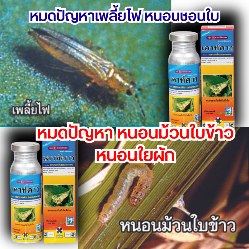 เคาท์ดาว ( 100 ซีซี) หมดปัญหาเพลี้ยไฟ หนอนชอนใบ หนอนม้วนใบข้าว หนอนใยผัก