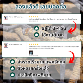 YES เยส (3 กล่อง) ผลิตภัณฑ์เสริมอาหาร สำหรับผู้ที่ชอบดูแลสุขภาพ ประกอบด้วยสมุนไพร 11 ชนิด ของแท้