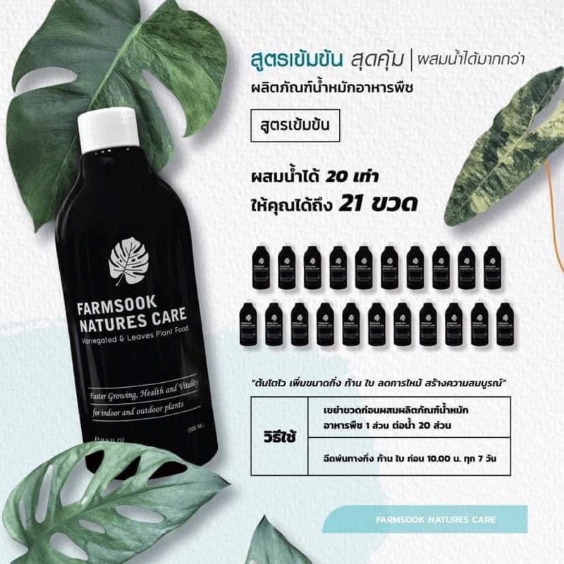 ผลิตภัณฑ์อาหารพืชทางใบ สำหรับไม้ใบ ไม้ด่าง ไม้ฟอกอากาศ สูตรเข้มข้น