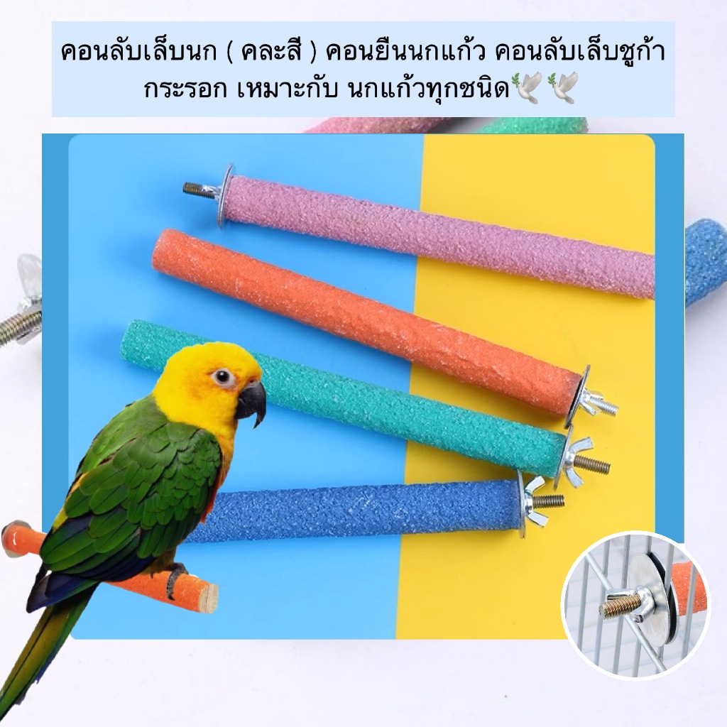 MG-894 คอนลับเล็บนก 🕊️( คละสี 1 ชิ้น )✨ คอนยืนนกแก้ว-ชูก้า-กระรอก คละสีสดใส 🌈 ช่วยดูแลเล็บน้องนกให้สวยงาม