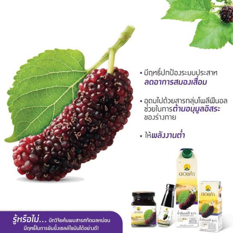 W/F ดอยคำ น้ำมัลเบอรี่(ลูกหม่อน ) 50%  ขนาด1ลิตร แท้ พร้อมส่ง fl doi kham mulberry juice 50% ราคา ถูกที่สุด ดีลบีเคเค แกลเลอรีภาพที่ 2