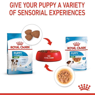 [ 1โหล ] Royal Canin Mini Puppy อาหารเปียก Gravy ลูกสุนัขพันธุ์เล็ก [ 1โหล ]