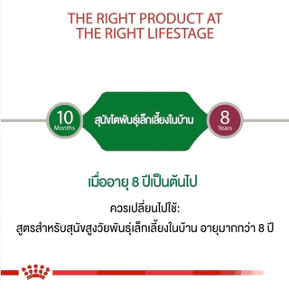[SENIOR 3KG] Royal Canin Mini Indoor SENIOR อาหารเม็ดสุนัขพันธุ์เล็ก อายุมาก 3KG