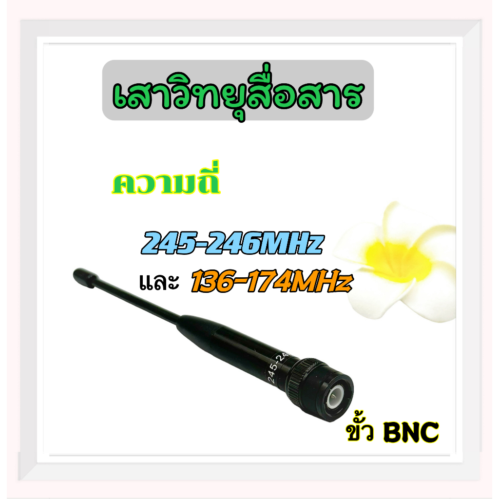 เสาวิทยุสื่อสาร เสายาง ความถี่มี 245-246 MHz และ 136-174MHz ขั้ว BNC เสาอากาศวิทยุ เสาวิทยุ เสาอากาศ อย่างดี