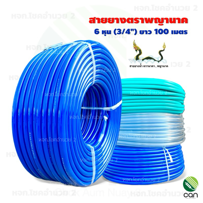 สายยาง ตราพญานาค 6 หุน (3/4") ยาว 100 เมตร