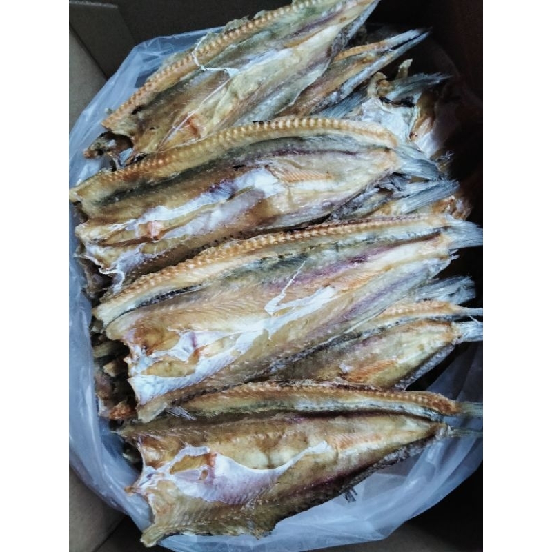 ปลาช่อนทะเลแห้ง ปลาจิ๊กโก๋ ปลาหัวขาด ปลาช่อนทะเลตากแห้ง 300กรัม