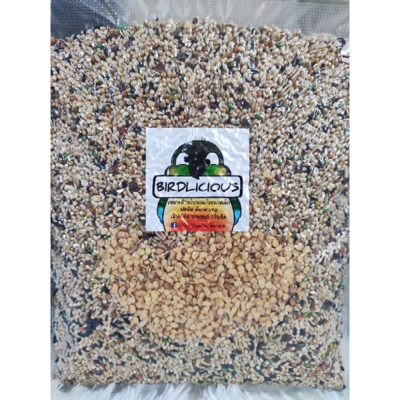 อาหารธัญพืชนก ไขมันต่ำ สำหรับนกแก้ว BIRDLICIOUS สูตร HOT& SPICY 500 กรัม