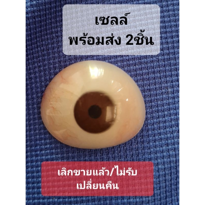 ลูกตาปลอมคนพิการ ถูกที่สุด พร้อมโปรโมชั่น ต.ค. 2025 | BigGoเช็คราคาง่ายๆ